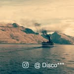 Disco***