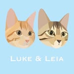 おしゃれなバンダナの冒険ねこLuke & Leia Adventure Cats