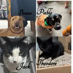 Jack, Pablo and Bruno