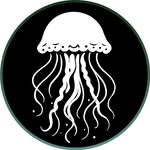 Oceans Explained in depth