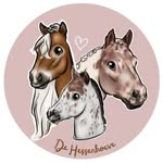 Stal de Hessenhoeve 🇳🇱