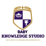 BabyKnowledgeStudio
