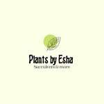 Plants by Esha
