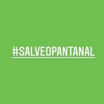 Salve o Pantanal