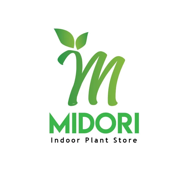 Midori Indoor Plant