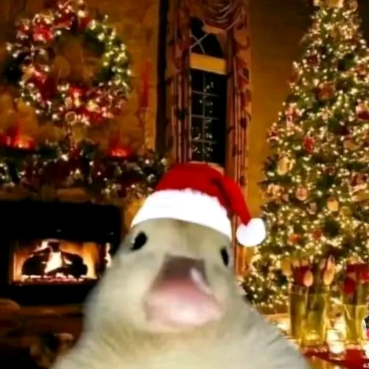 djavano
