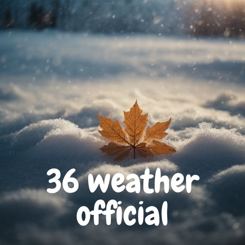 36 Weather