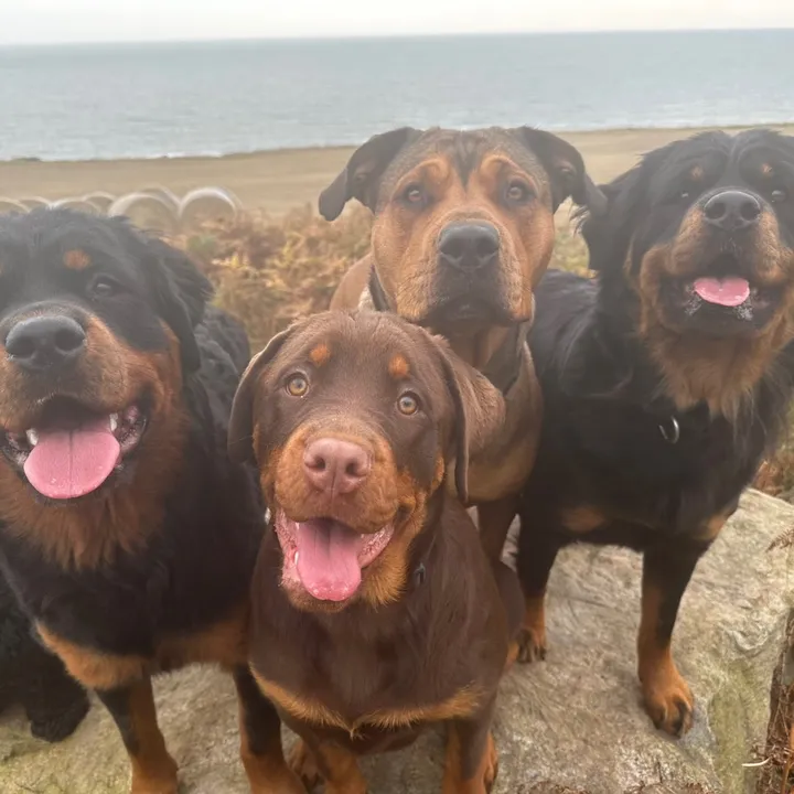 Rhonda & The Mutley Crew