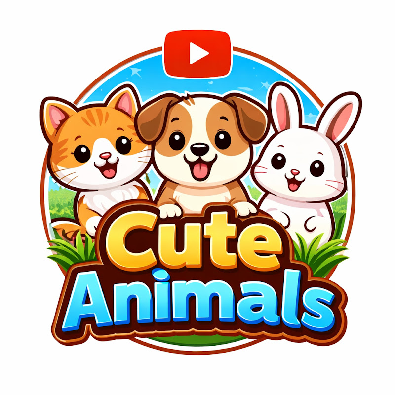 Cute Animals