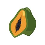 Botanical Garden | Orchard of Flavours