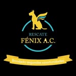 Rescue Fenix