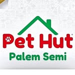 Pet Hut Palem Semi