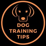 dogz.training.tips