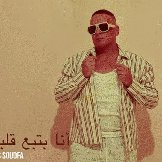 Anas Soudfa