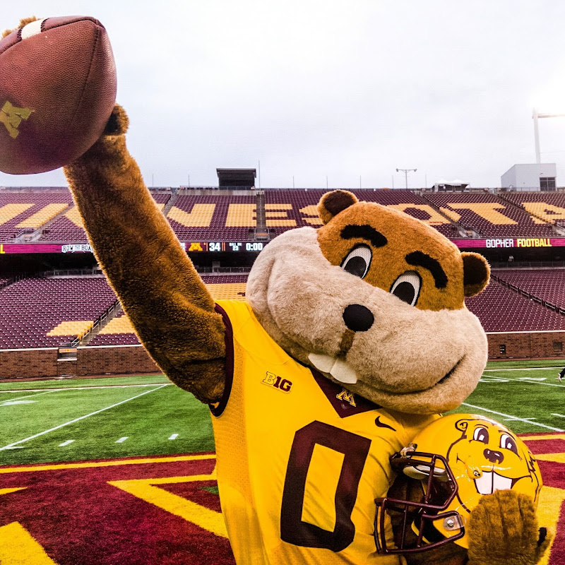 Goldy Gopher