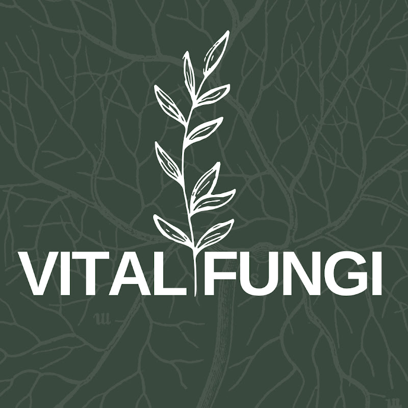 VITAL FUNGI 
