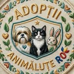 Adopții România 🐾