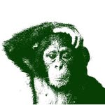 Comme Des Singes