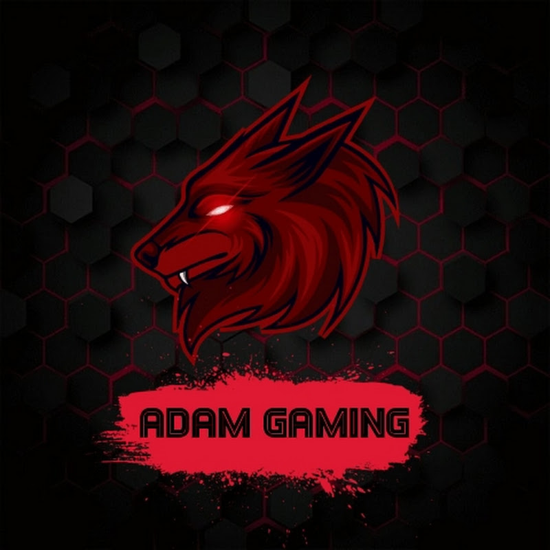 adam crazy gamer