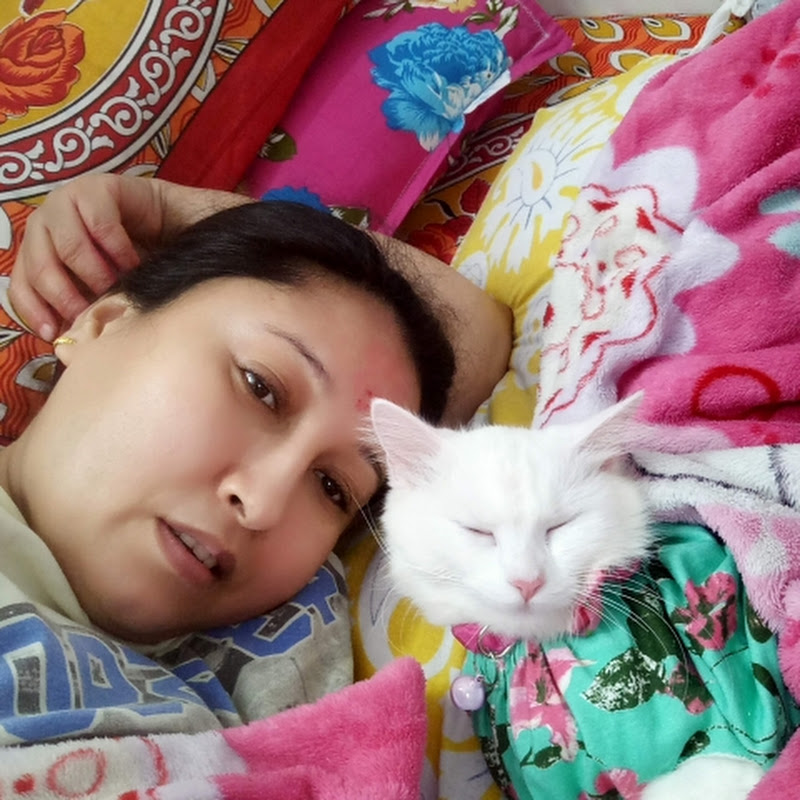 Pramila Pradhan  Family vlogs 