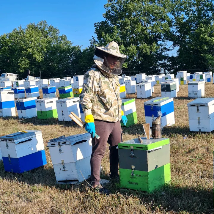 ΜΕΛΙ ΚΩΣΤΑΝΤΙΝΗΣ