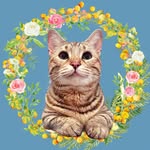 ときめきせぎもさん