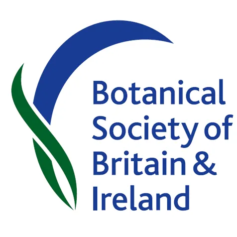 BSBI