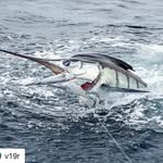 Fishing Australia