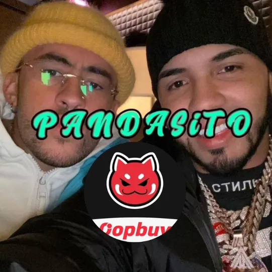 pandasito🫠