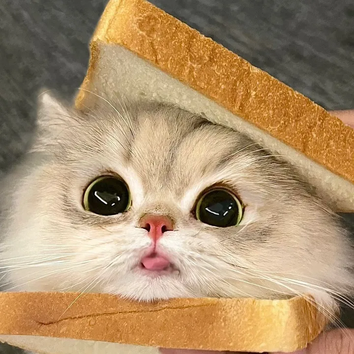 KINGSOM