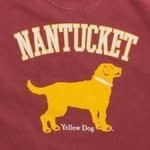 Yellow Dog® Nantucket's Mascot Golden Retriever