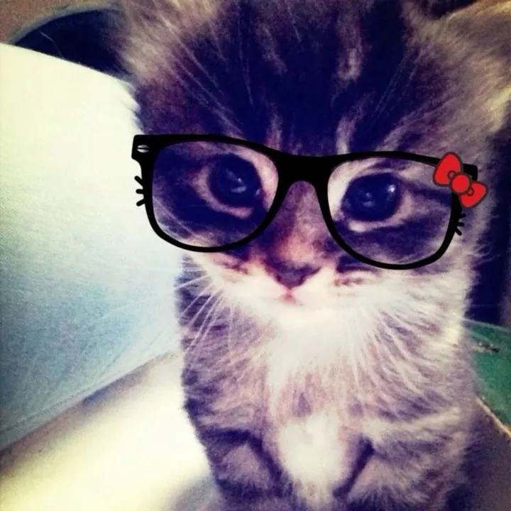 cutiepieskitties