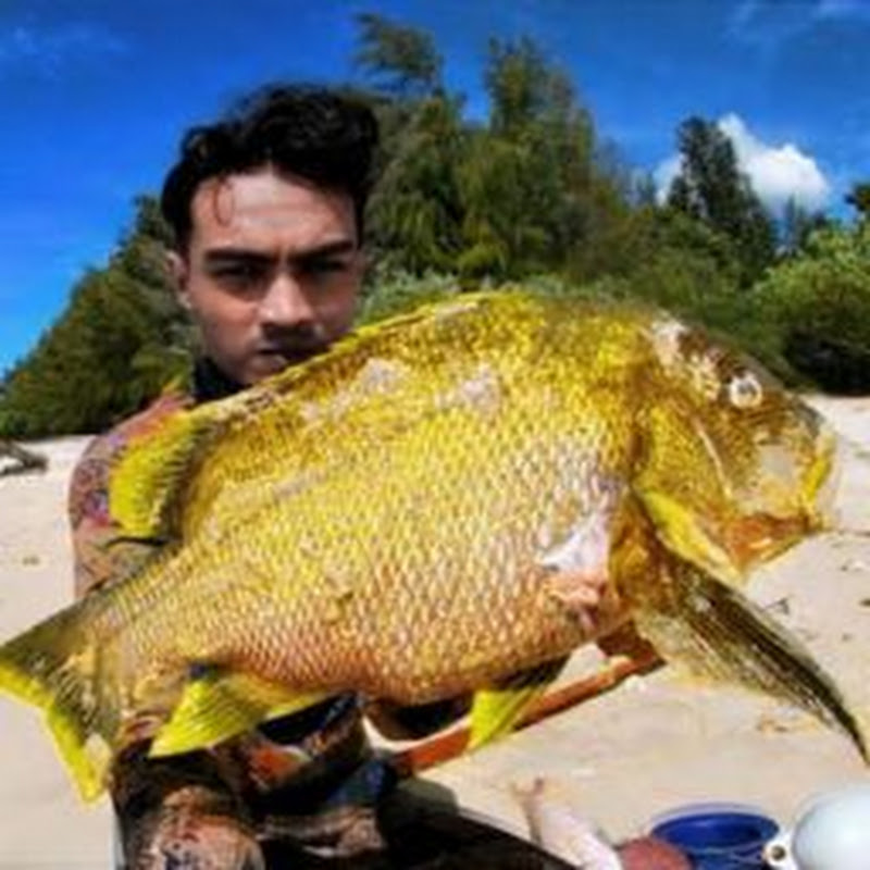 satria petualang