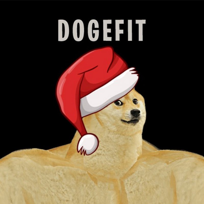 DogeFitt