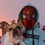 RetroBouledogue