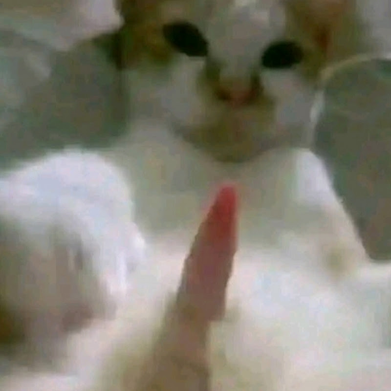Hehe 
