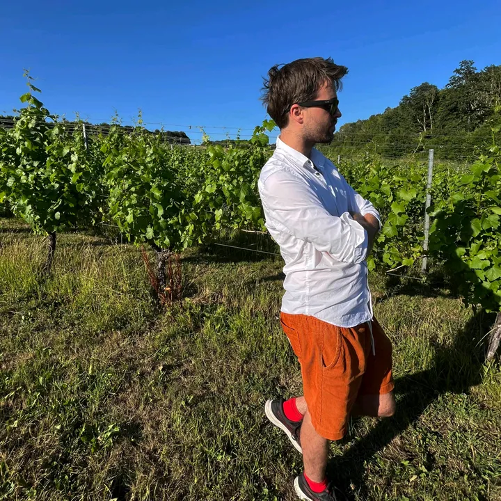 Side Hustles For Beginners