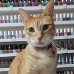 Gabriela | Nail Artista
