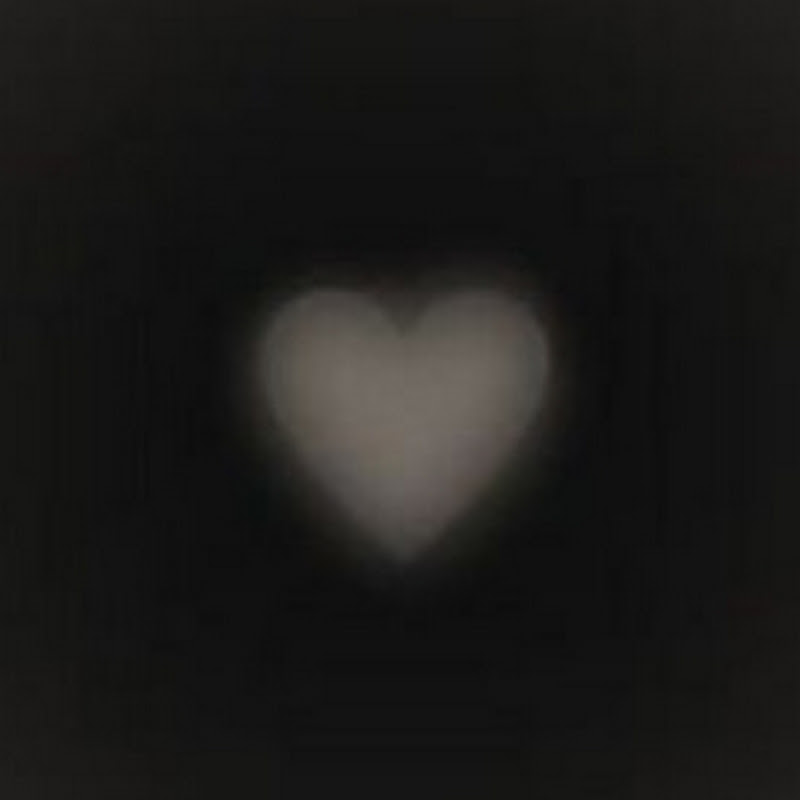 𝓼𝔀𝓪𝓷𝓴𝓪𝓼𝓼