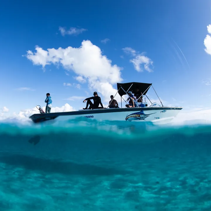 Pacific Immersion