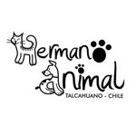 Hermano Animal Talcahuano