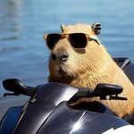 Sơn Tùng M-TP 💋