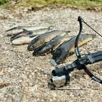 SAM_TheHunter🎣
