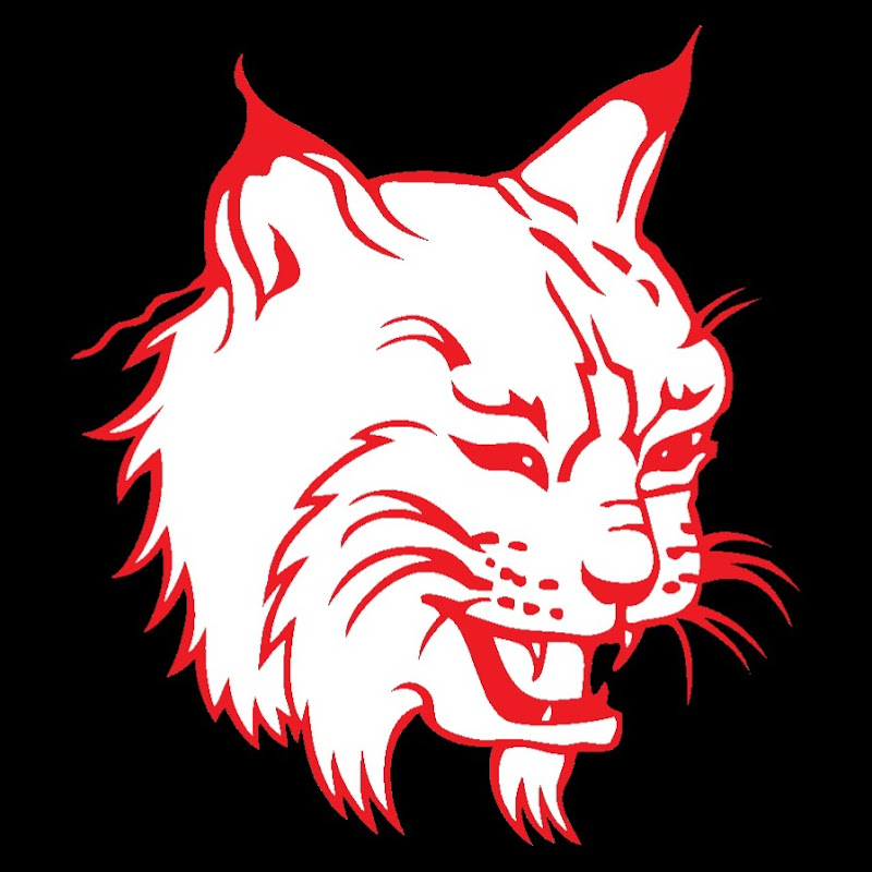 PolishLynx
