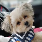 🧸TEDDY🧸