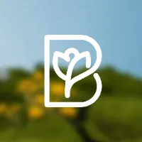 Bloomthis MY
