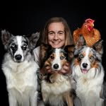 PÍXEL - Susana Pérez