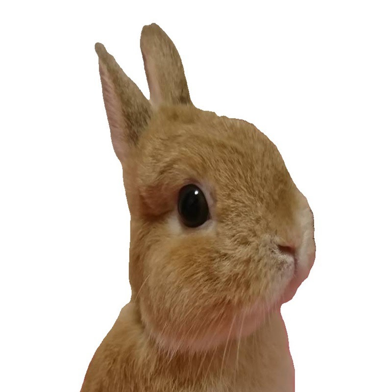 Cinnamon