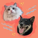 OT & Monty 🐶🐱