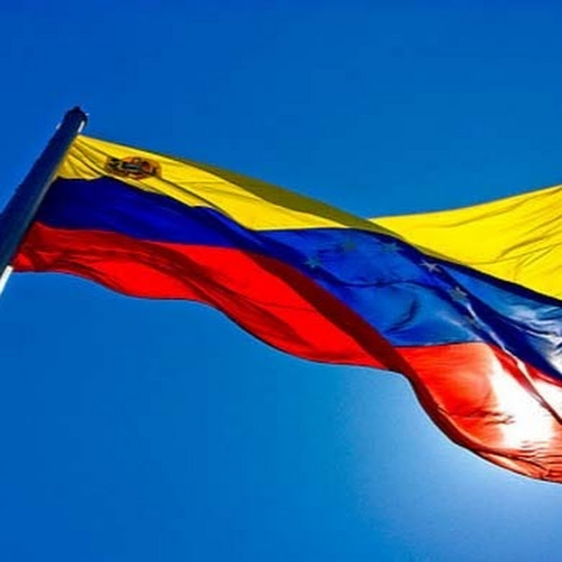 Fan Latino Venezolano